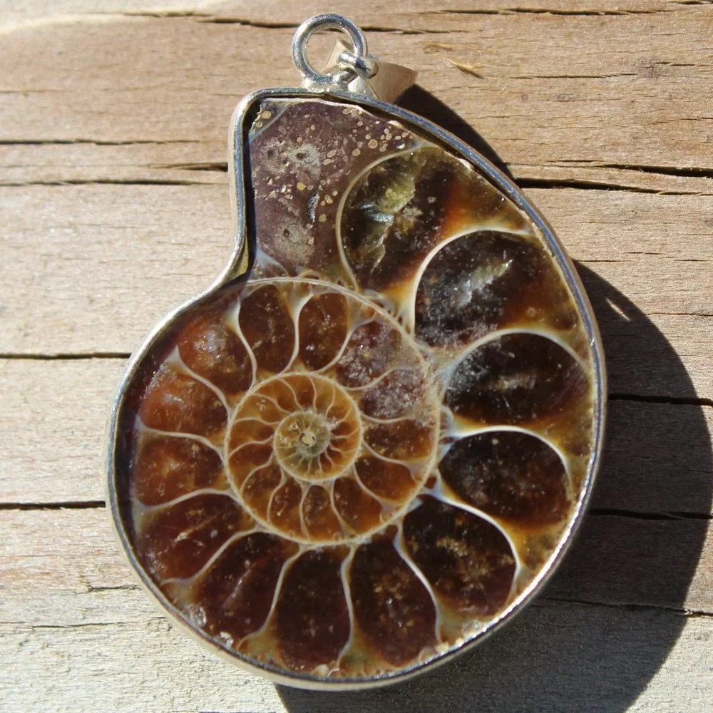 Ammonite Fossil Pendant, Sliced with waxed leather cord - Picture 1 of 3